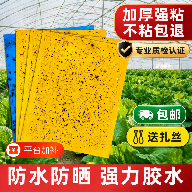 果树粘虫板果实蝇黄板双面果蝇诱捕器粘蚊贴苍蝇贴粘蝇纸蚊子强力
