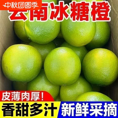 正宗哀牢山冰糖橙云南青皮冰糖橙