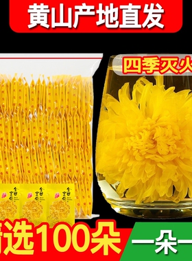 菊花茶金丝皇菊黄菊一朵一杯花茶菊花贡菊大去火不特级茶叶100克