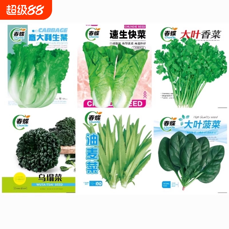 蔬菜种子四季播盆栽黄瓜春易种籽孑大全水果秋葵西瓜菠菜紫根种植