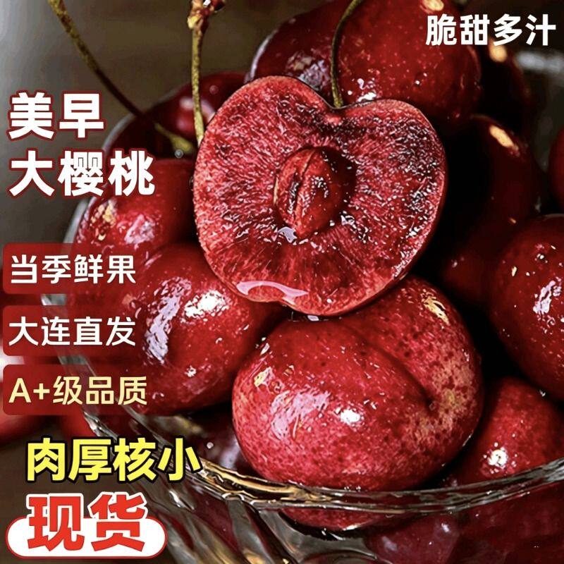 正宗大连美早大樱桃车厘子一整箱当季新鲜礼盒装4j巨无霸源头鲜果