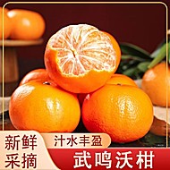 带箱5斤中大果广西沃柑