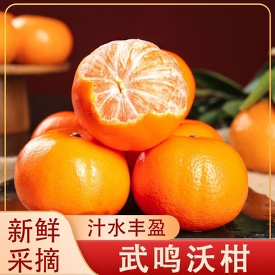 广西武鸣沃柑薄皮柑橘子现摘9斤新鲜桔子水果橘子当季果冻橙子