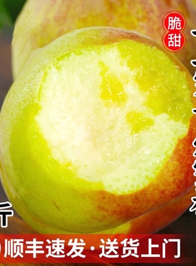 青州蜜桃新鲜桃子水蜜桃小毛脆桃当季水果整箱顺丰包邮冬雪5斤桃