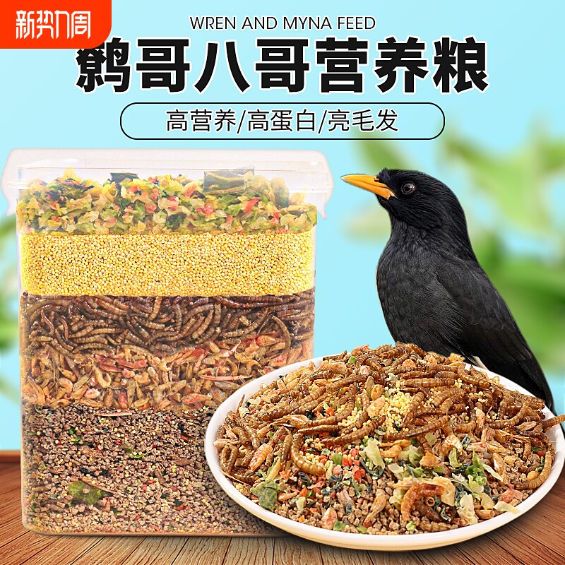 八哥鹩哥饲料鸟粮饲料营养鹩哥鸟食海八黑八专用鸟粮粮鸟料5斤装