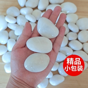 白色鹅卵石石头抛光白石子雨花石养花郁金香水培鱼缸造景天然批发