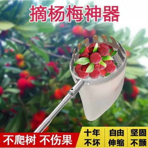 畅销爆款|高空摘水果不锈钢神器