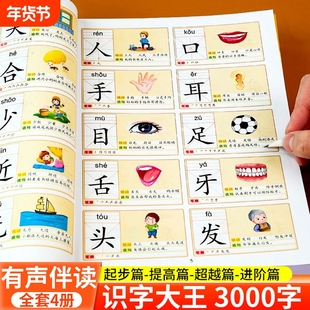 儿童识字大王3000字会说话的汉字启蒙早教书籍幼小衔接看图识字书幼儿园宝宝小学生一年级学前认字教材教具卡片幼儿有声拼音认知