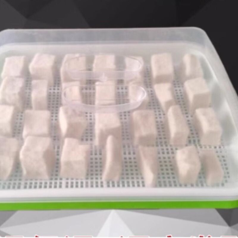 腐乳霉豆腐专用带盖发酵盘保湿盘家用长白毛自制毛豆腐厨房