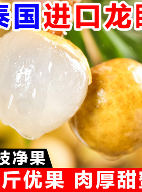 当季泰国龙眼新鲜进口桂圆热带水果5斤核小皮薄去枝鲜果饱满香甜