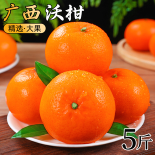 广西沃柑9斤橘子新鲜水果当季 整箱一级皇帝蜜柑橘砂糖桔子整箱邮