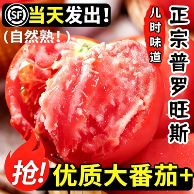 普罗旺斯西红柿新鲜蔬菜水果草莓柿子自然熟生吃沙瓤番茄沙壤优质