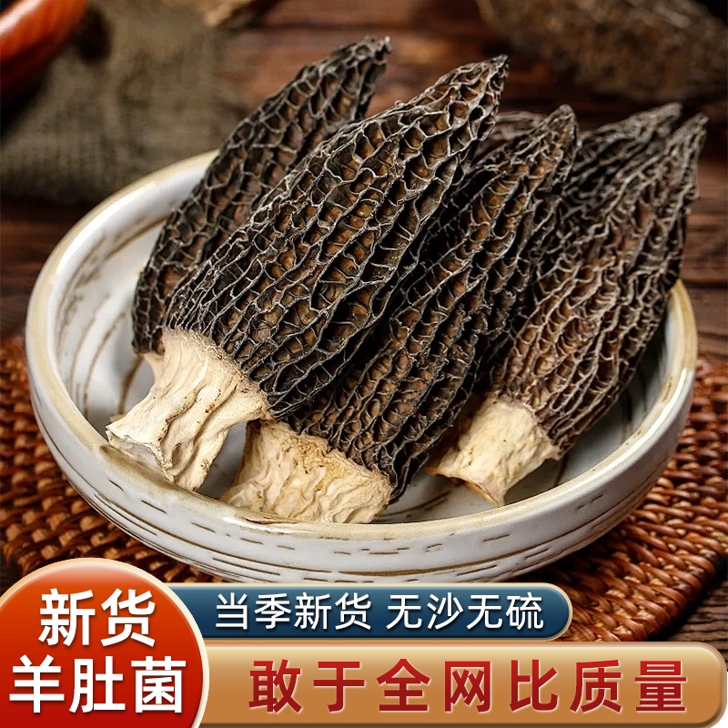 纯野生羊肚蘑菌菇特产西藏新货羊肚菌干货新鲜牛肚菌煲汤云南