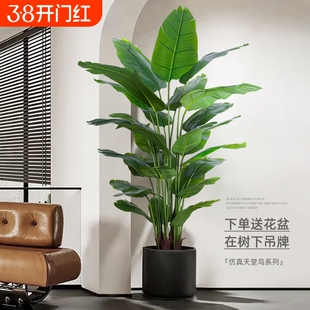 天堂鸟仿真绿植高端仿生花客厅大型室内盆栽摆件装饰树假植物高级