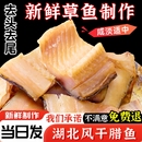 湖北特产腊鱼风干鱼草鱼鱼块武汉糍粑鱼阳干鱼干咸鱼腌制农家干货