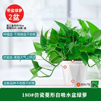 180#1 1 1 1 [2] POT +5 Fat Orange Green 1