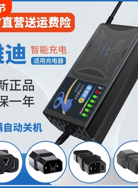 适用雅迪电动车充电器电瓶48V12AH60V72V20A新国标插头石墨烯通用