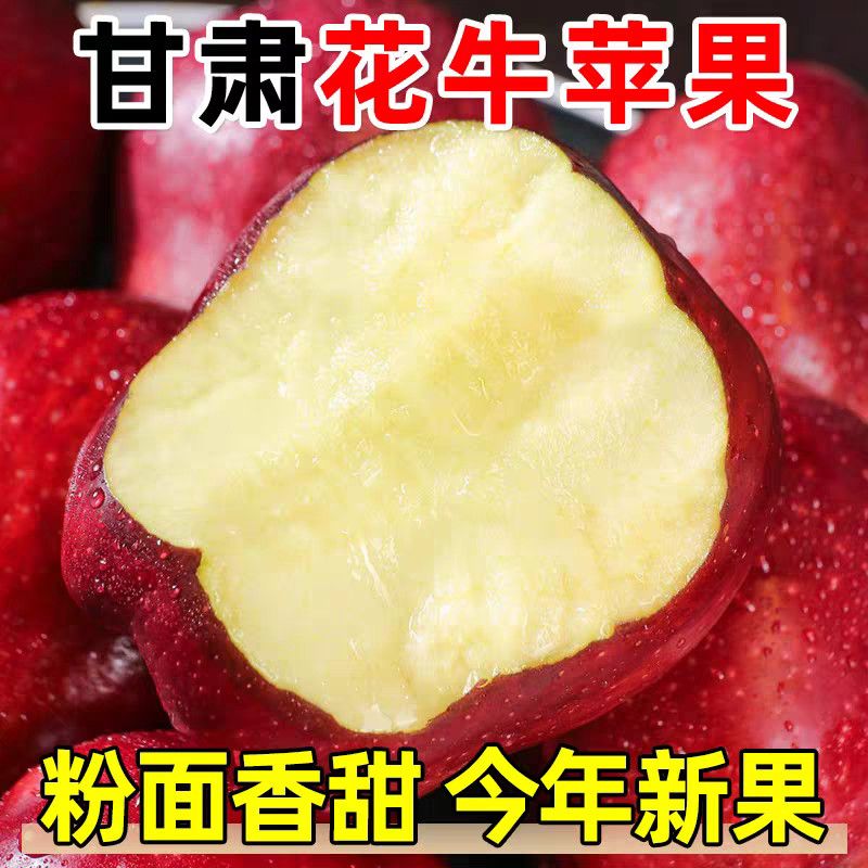 正宗甘肃天水花牛蛇果粉面苹果沙面粉糯新鲜当季大果苹果整箱批发