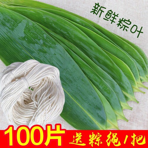 粽叶新鲜粽子叶大号包粽子专用大宽叶粽子叶子真空包粽子的叶子