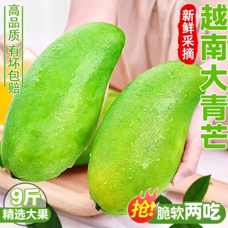 越南大青芒果青皮生吃新鲜水果甜脆芒果花大果型现摘现发10斤包邮