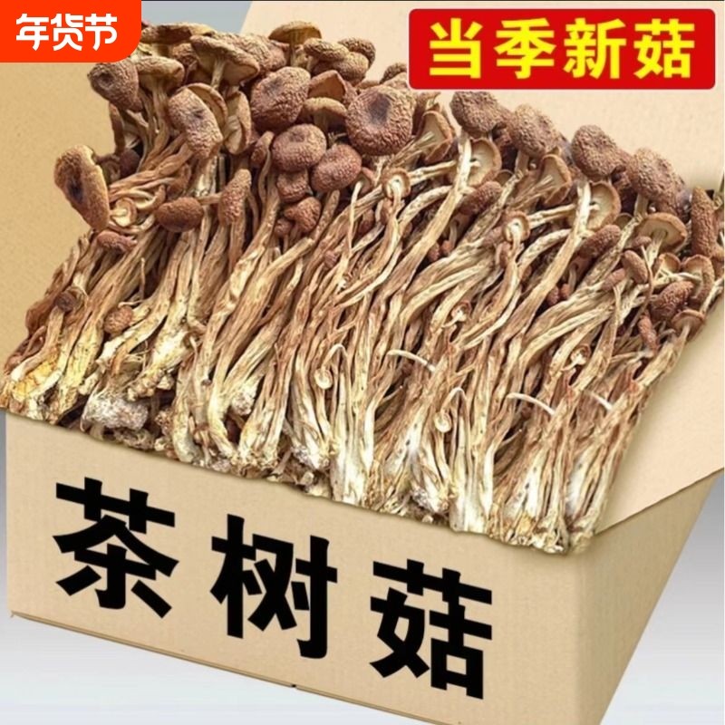 古田农家茶树菇不开伞2024新鲜干货茶树菇干货500g香菇蘑菇煲汤