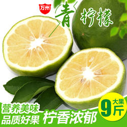 万州新鲜采摘青柠檬鲜果水果大果多汁酸奶香水整箱批发包邮皮薄