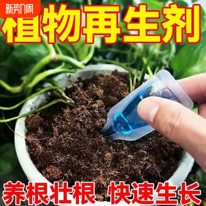 发财树再生剂专用营养液黄叶枯叶烂根专用盆栽植物再生复活液肥料