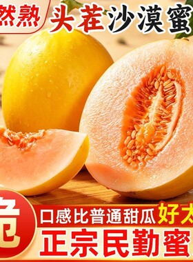 甘肃民勤沙漠蜜瓜脆甜黄河蜜瓜