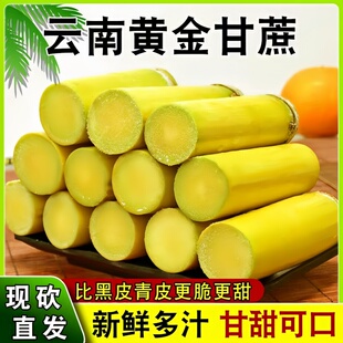 云南正宗新鲜黄金甘蔗中段现砍脆甜爆甜甘蔗汁新鲜直达黄皮甘蔗