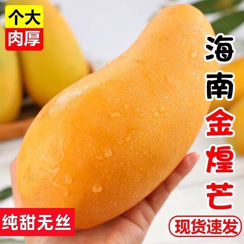 海南金煌芒果整箱9斤包邮新鲜现摘当季热带水果核小多汁5香蕉果肉