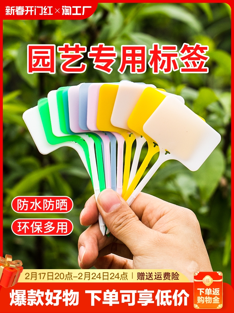 园艺标签t型多肉植物花卉地插牌塑料防水苗木定制花盆标识牌防雨