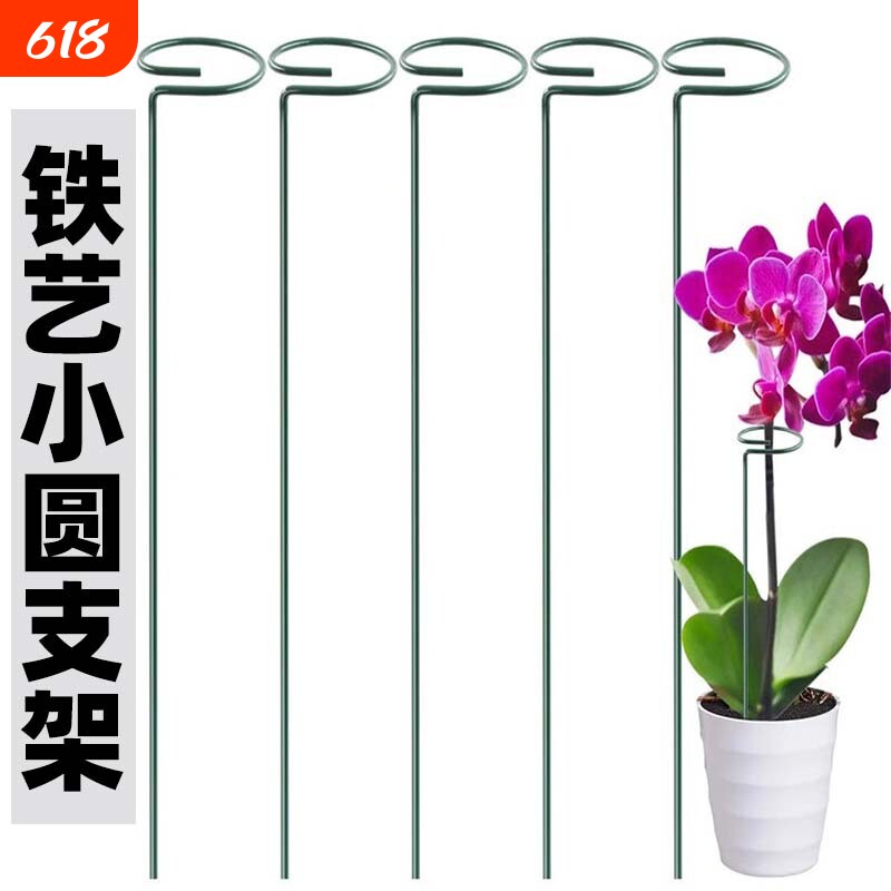 园艺花架植物支撑杆兰花支架花卉防倒伏朱顶红花支架铁艺盆栽固定