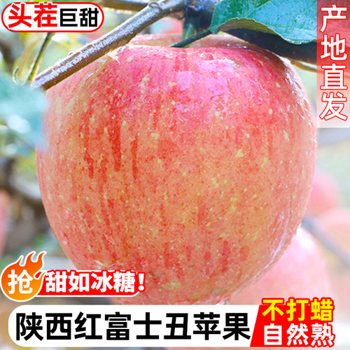 陕西高山红富士丑苹果水果新鲜整箱冰糖心当季整箱甜脆一批发包邮