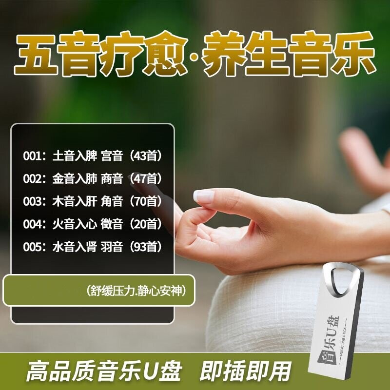 五音疗愈养生轻音乐U盘音药音乐辽法老人放松舒缓助眠静心歌曲MP3