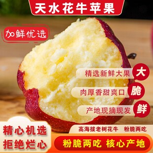 花牛苹果正宗甘肃天水苹果宝宝辅食刮泥孕妇水果粉脆两吃特产水果