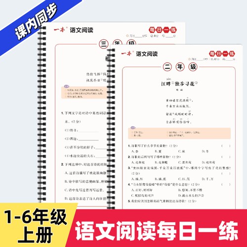 一本阅读训练一二三四五六年级阅读理解专项