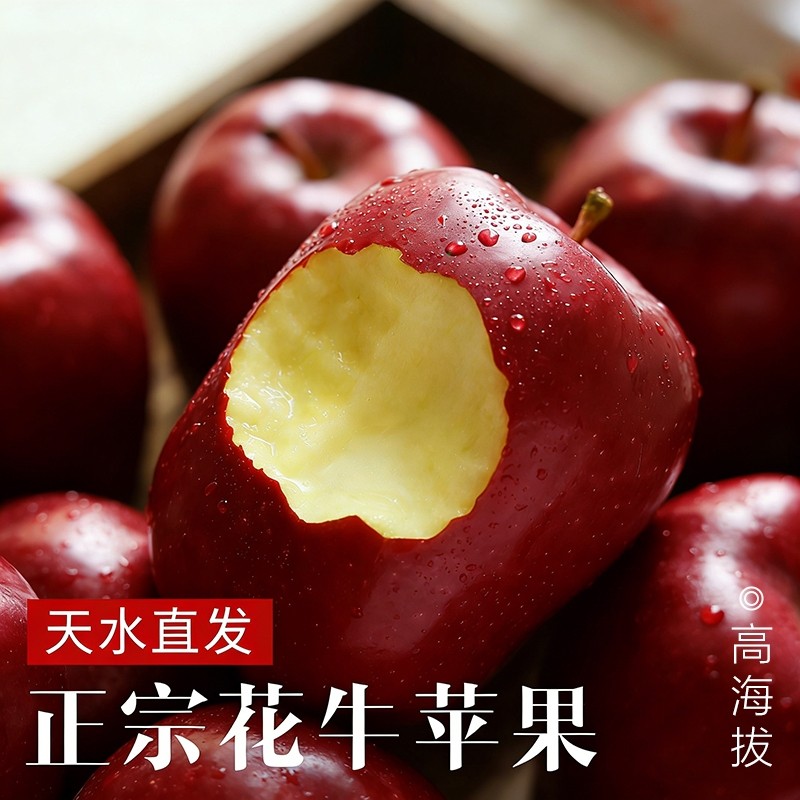 甘肃天水花牛苹果新鲜水果当季正宗平果红蛇粉面丑果孕妇整箱包邮