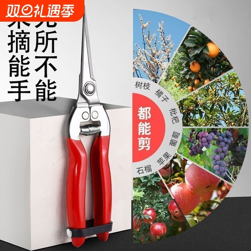 不锈钢摘果剪园艺剪刀修枝剪葡萄剪采摘花椒神器专用剪树枝专业