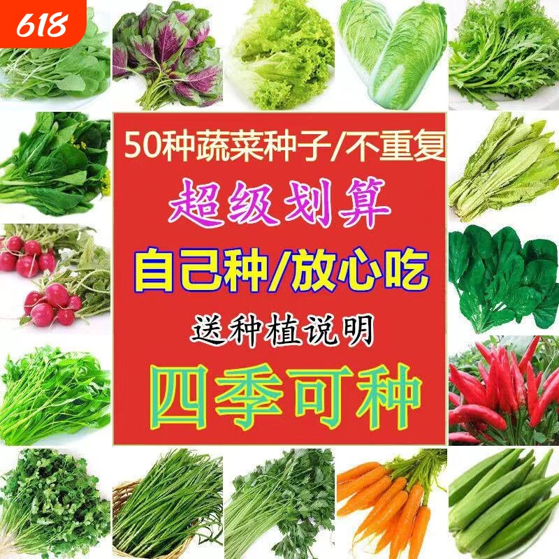 四季盆栽蔬菜种子阳台香菜易种籽孑番茄黄瓜玉米白菜种植胡萝卜