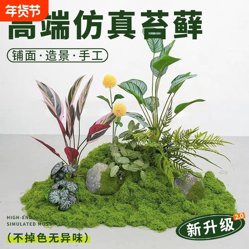 仿真苔藓造景假青苔毛线草皮绿植微景观植物鱼缸装饰人造仿生草坪,鲜花速递/花卉仿真/绿植园艺,仿真绿植,淘宝优惠券,粉丝福利购,淘宝优惠卷