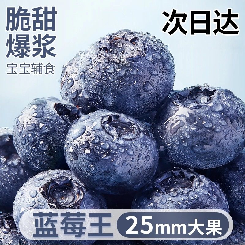 现货蓝莓鲜果新鲜水果蓝莓高山花香现摘大果脆甜产地顺丰包邮
