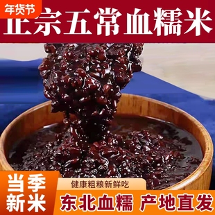 正宗五常软糯糙米粗粮东北黑糯米500g新米酒酿饭团杂粮奶茶血糯米