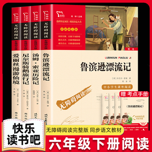 鲁滨逊漂流记六年级必读的课外书汤姆索亚历险记尼尔斯骑鹅旅行记原著正版爱丽丝漫游奇境小英雄雨来爱的教育童年快乐读书吧六下册