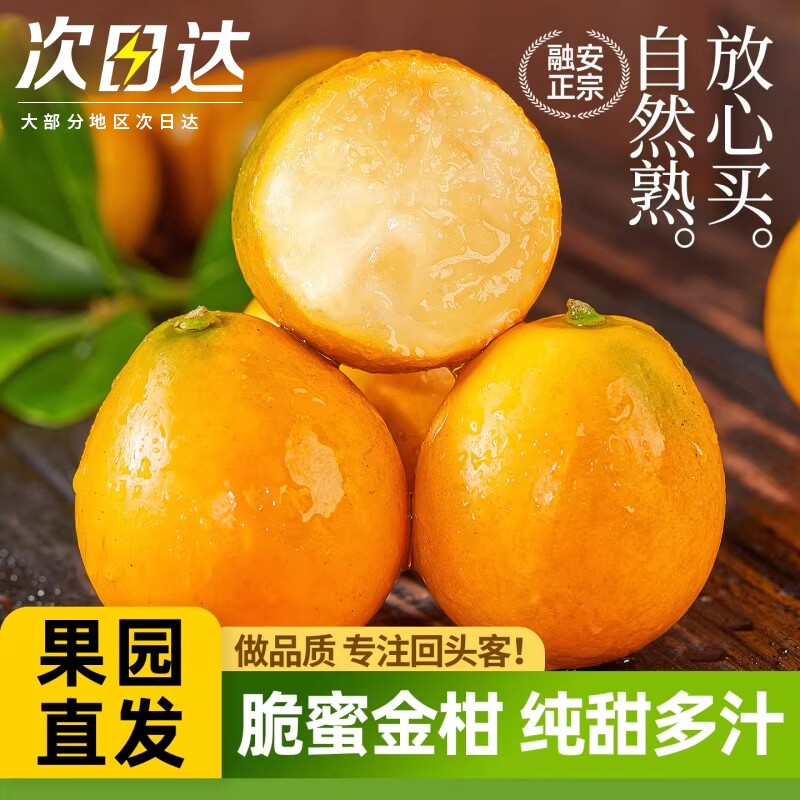 融安脆皮金桔10斤广西小橘子蜜金柑新鲜纯甜当季水果孕妇整箱包邮