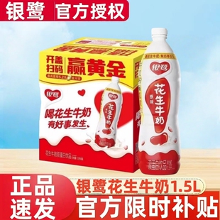 银鹭花生牛奶1.5升*4/6瓶大瓶双蛋白饮品营养酒席宴会饮料原味