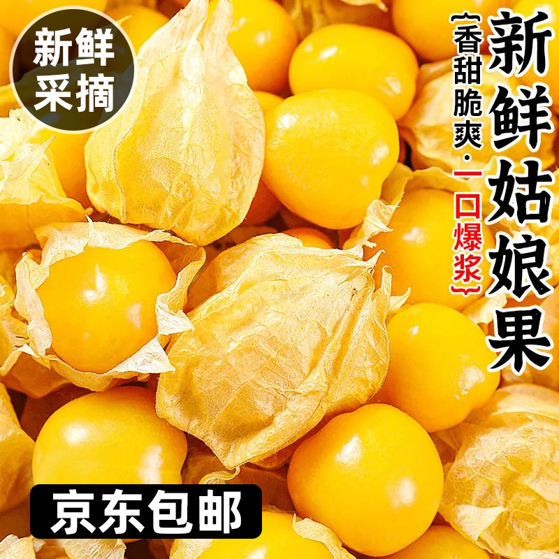 菇娘果自然成熟洋菇娘香甜可口牡丹江特产新鲜水果现摘甜产地直销