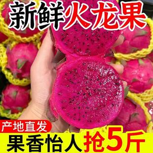 广西金都一号红心火龙果当季热带农产品时令水果生鲜产地整箱包邮