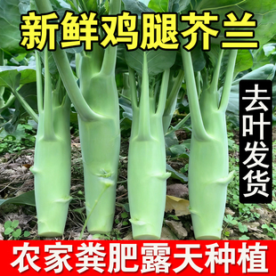 新鲜甜脆鸡腿大芥兰蓝菜苔菜心笋农家自种青菜当季淘菜菜生鲜蔬菜