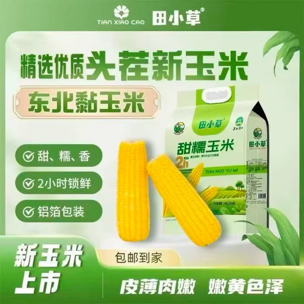 田小草头茬礼品袋220x8支甜糯玉米 原价¥15.9 券后¥15.9
