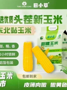 田小草头茬礼品袋220x8支甜糯玉米正宗东北头茬玉米黄金糯玉米